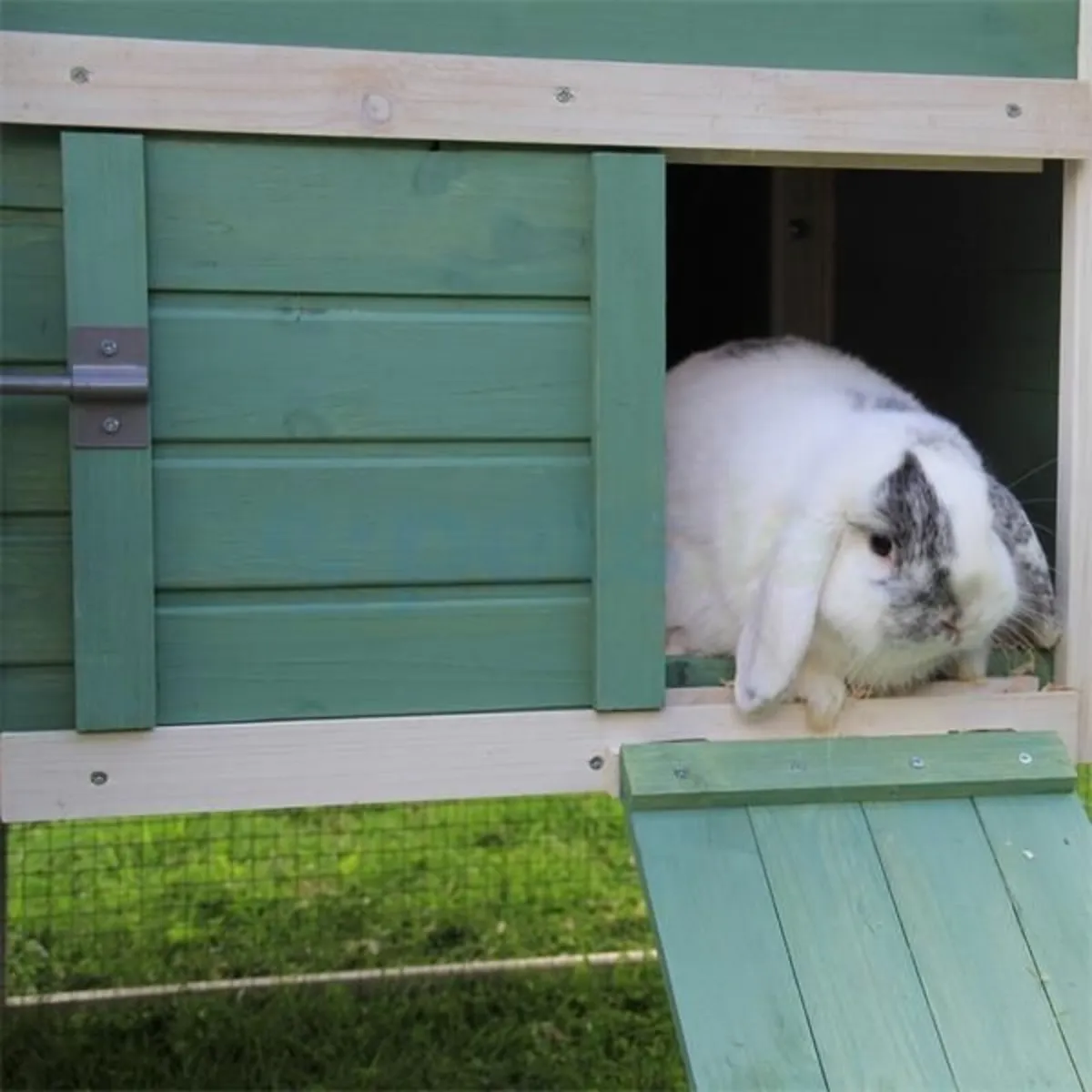 Rabbit Hutch - Range of Hutches Available - Image 2