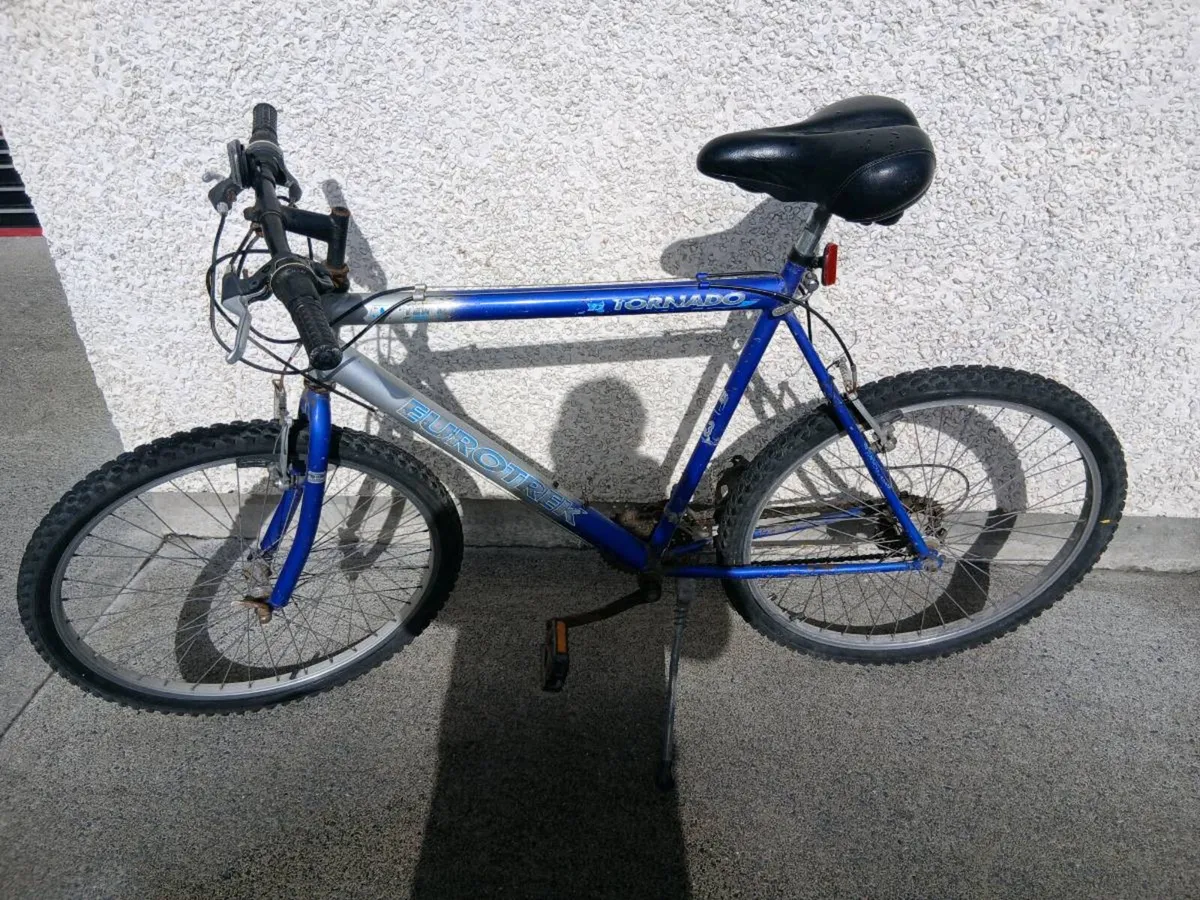 ADULT BIKE - Image 1