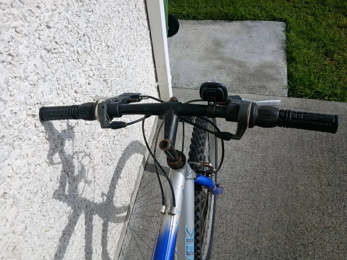 ADULT BIKE - Image 2