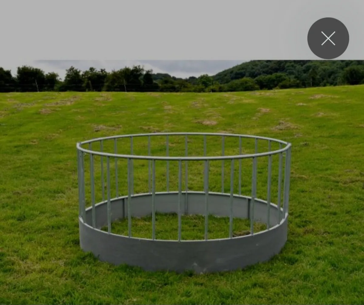 Sheep ring feeder