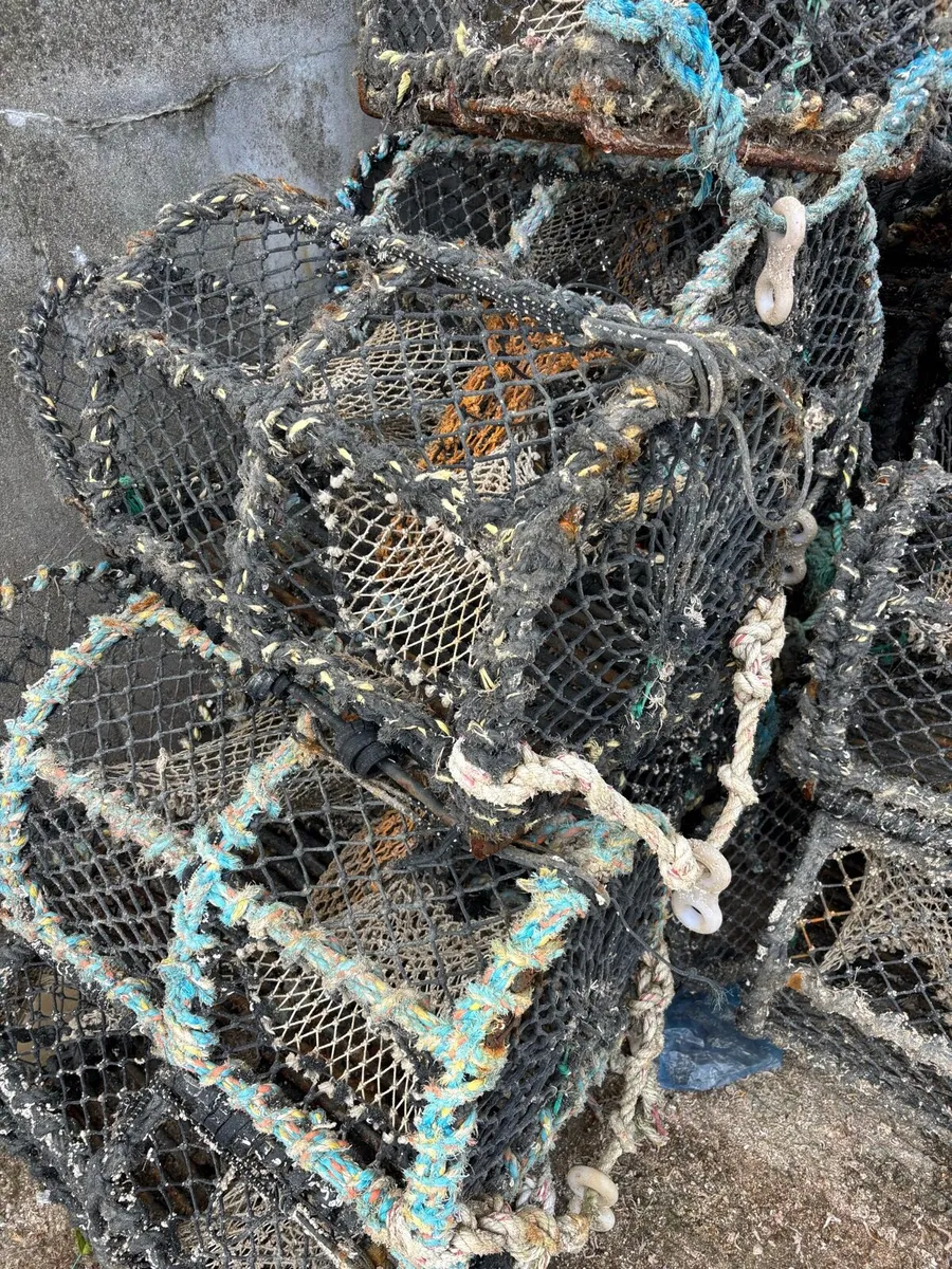 Crab/lobster pots - Image 1