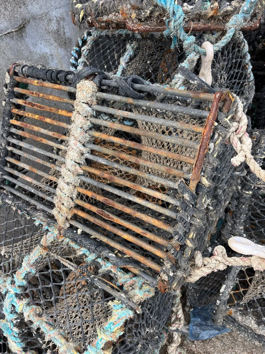 Crab/lobster pots - Image 2