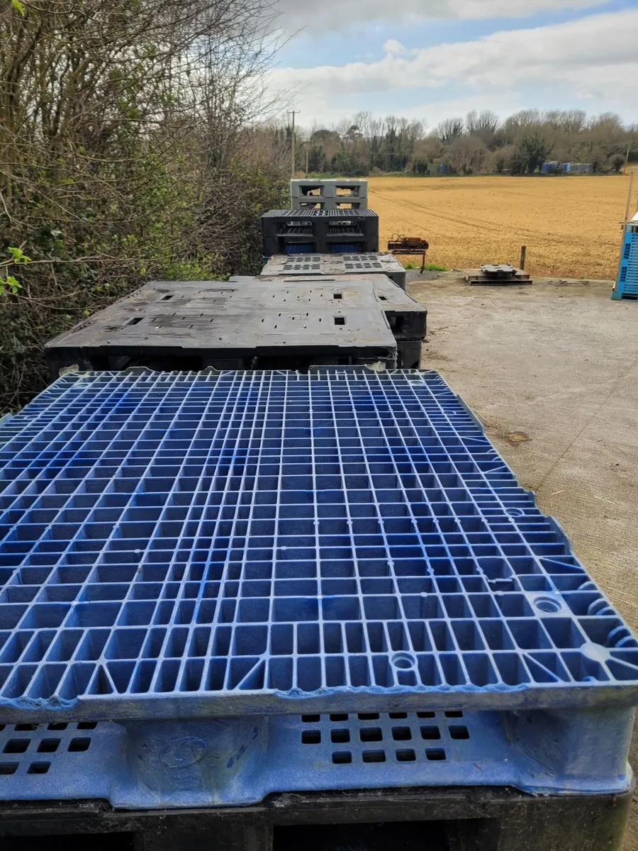 Plastic pallets - Image 3