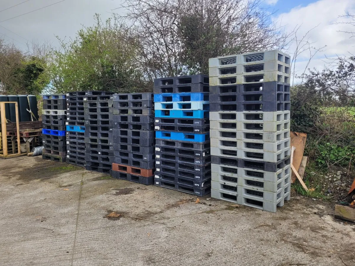 Plastic pallets - Image 1