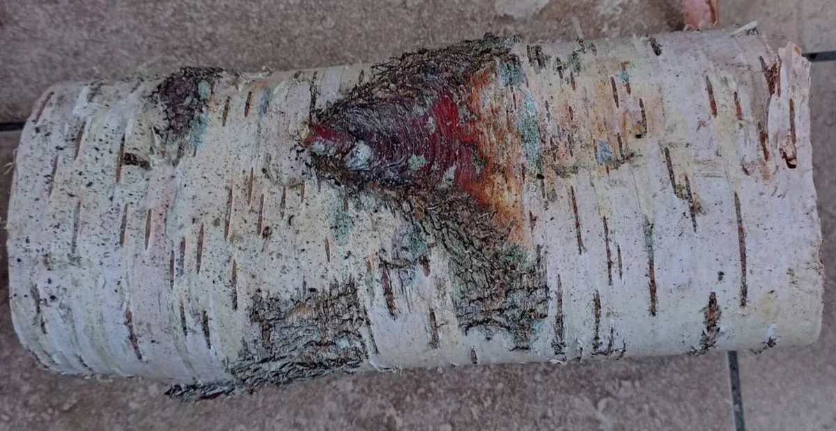 Affordable Chainsaw Operator - Image 4