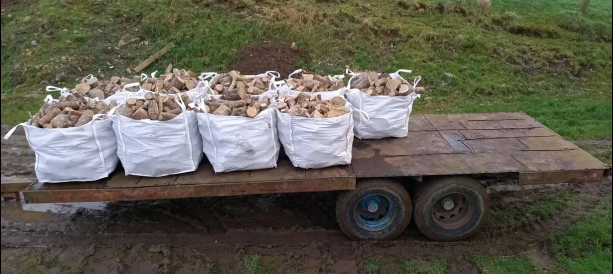 Hardwood Ash Firewood - Image 1