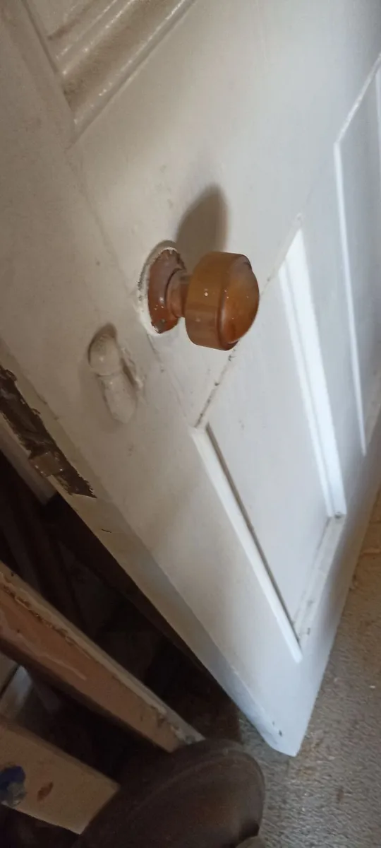 Old Solid Pine Painted Door & Frame - Image 3