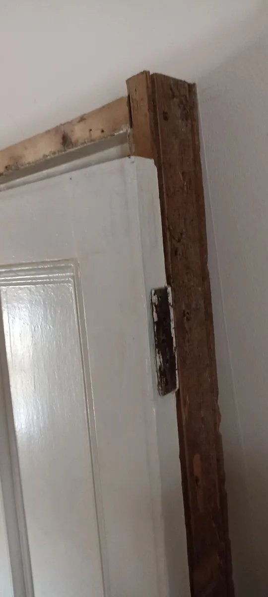 Old Solid Pine Painted Door & Frame - Image 4