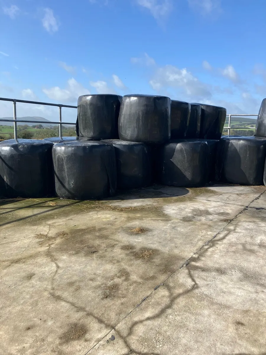 20 bales of silage