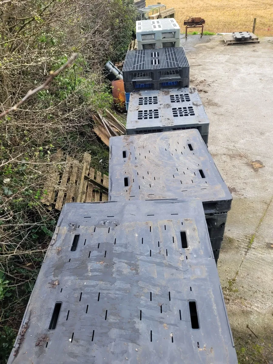 Plastic pallets - Image 2
