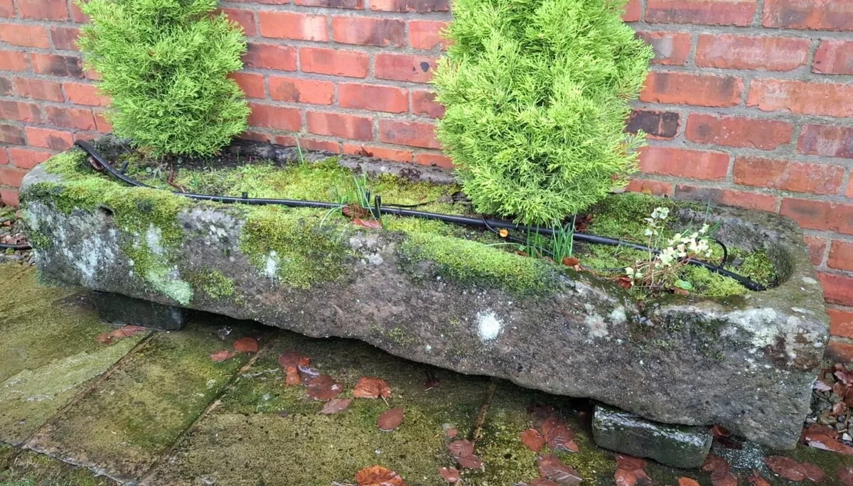 Stone watering trough