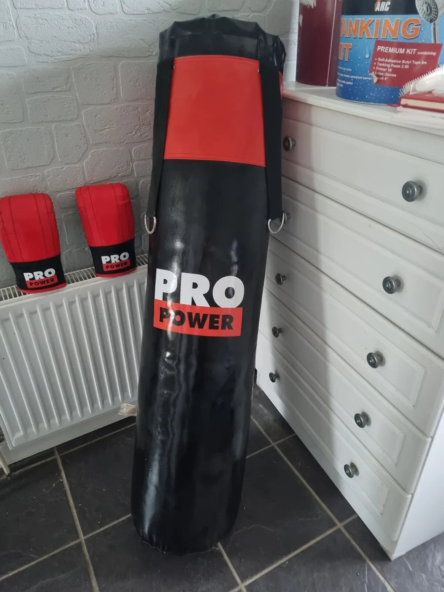 Punch bag and gloves