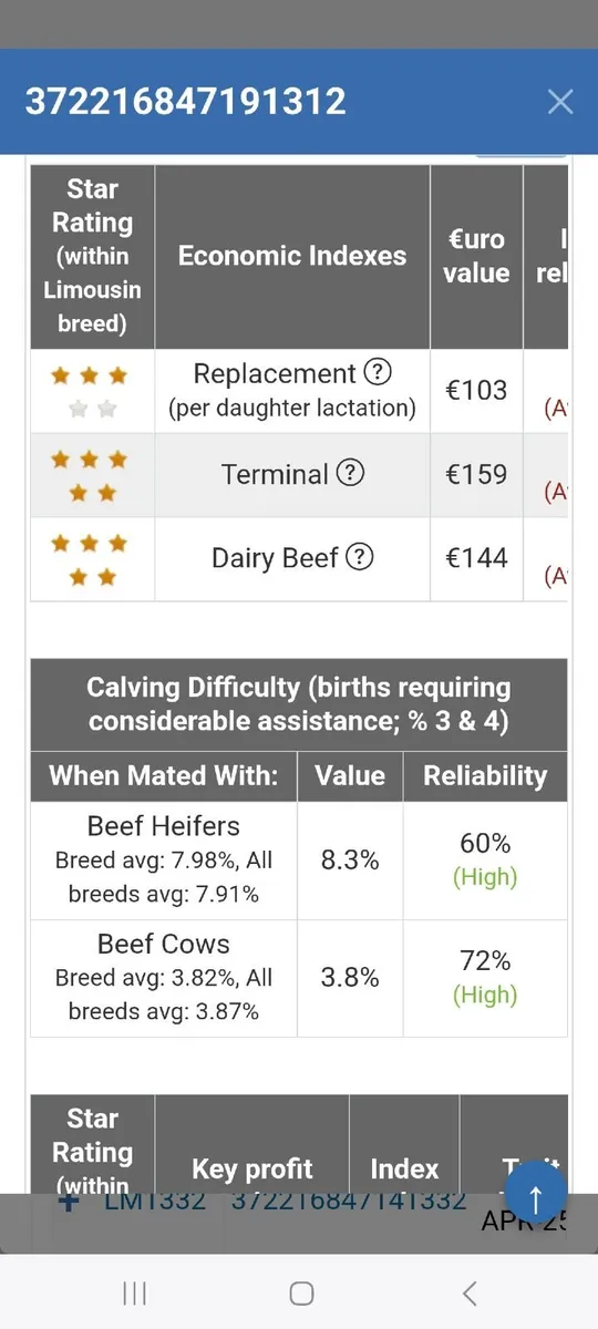 5 star bull eligible for scep - Image 3