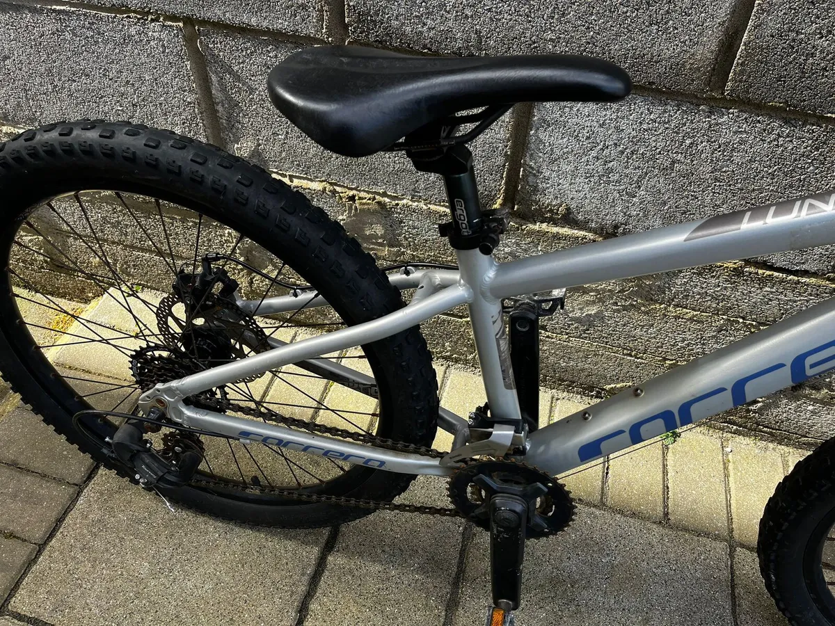 Carrera 24 Junior mountain bike - Image 4