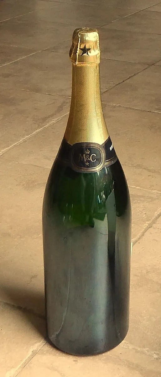 Moet & Chandon Imperial Display Bottle, Ice Bucket - Image 2