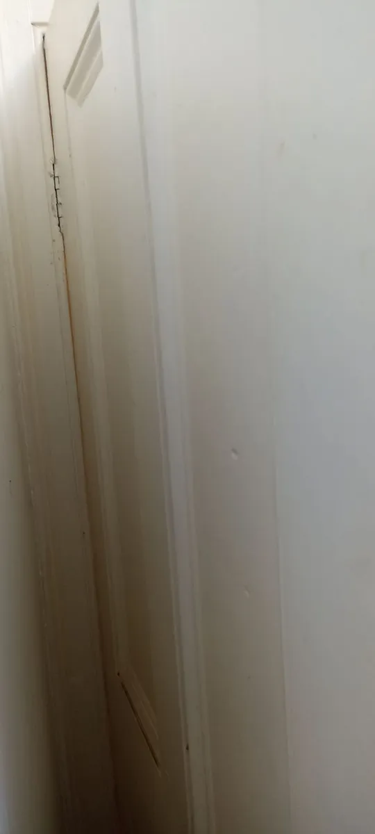 Old Solid Pine Painted Doors - Image 4