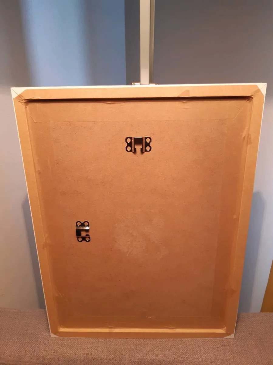 The Shakey Bridge, Cork - Image 4