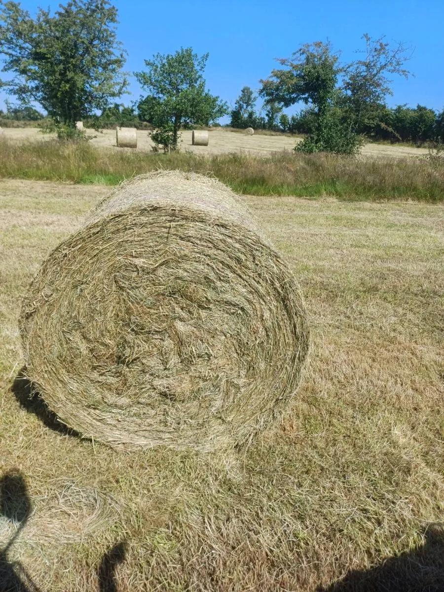 Hay and Silage - Image 2