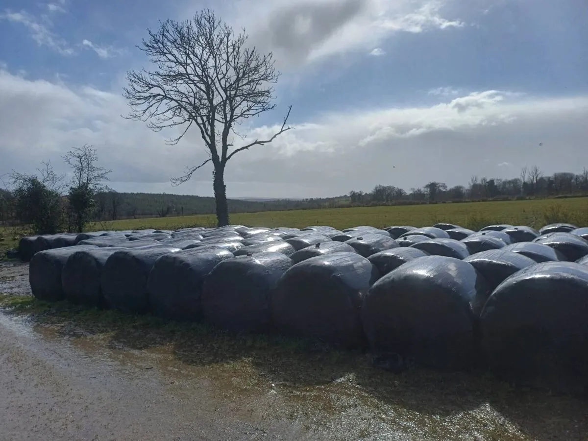 Hay and Silage - Image 4