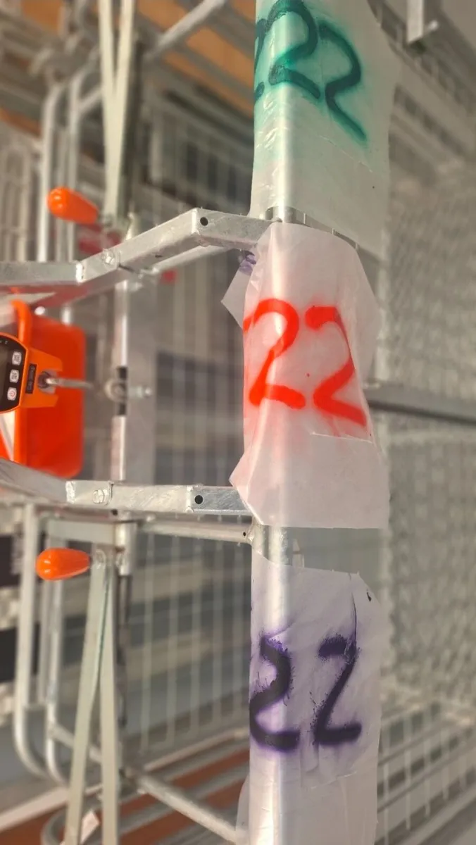 Clear Lamb Macs & Vivid Spray Markers! - Image 3