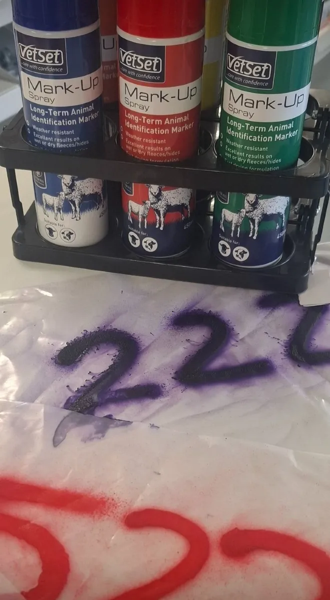 Clear Lamb Macs & Vivid Spray Markers! - Image 1