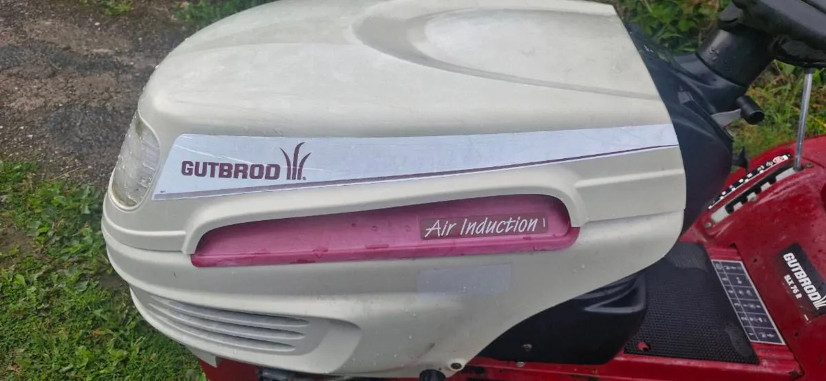 Gutbord mower - Image 2