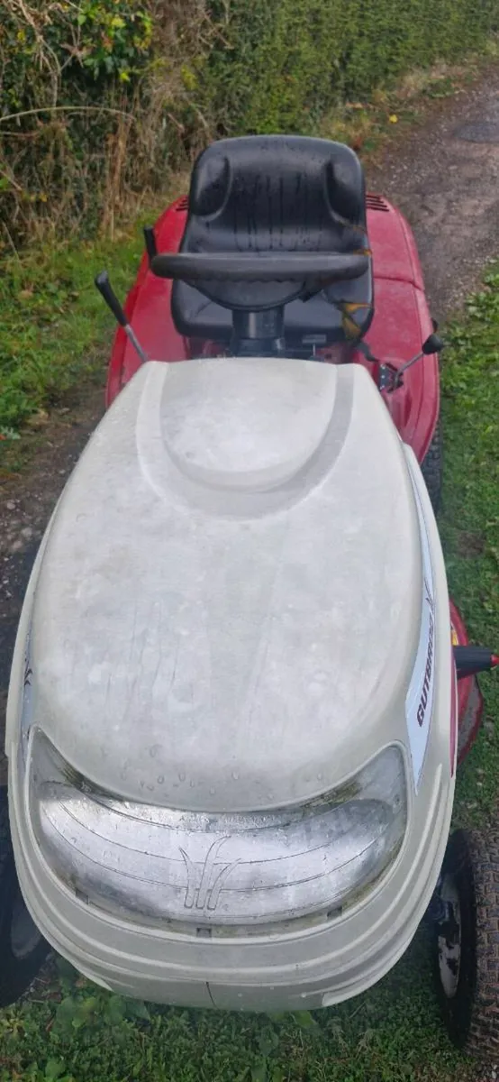 Gutbord mower - Image 3