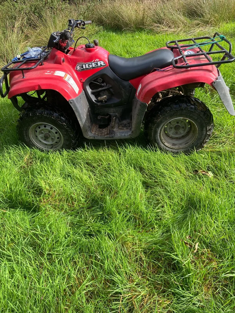 Suzuki Eiger 400 - Image 1