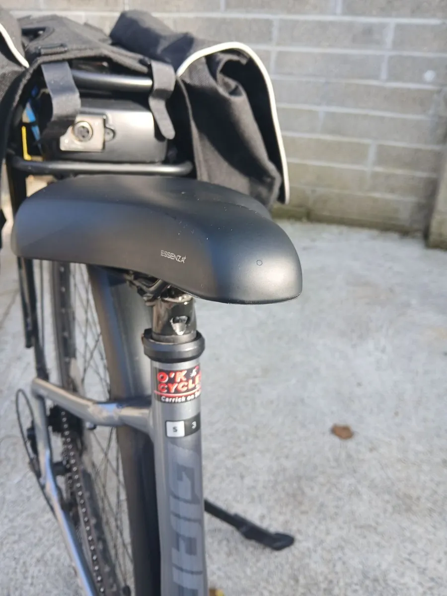 Giant Entour Electric Bike - Image 2