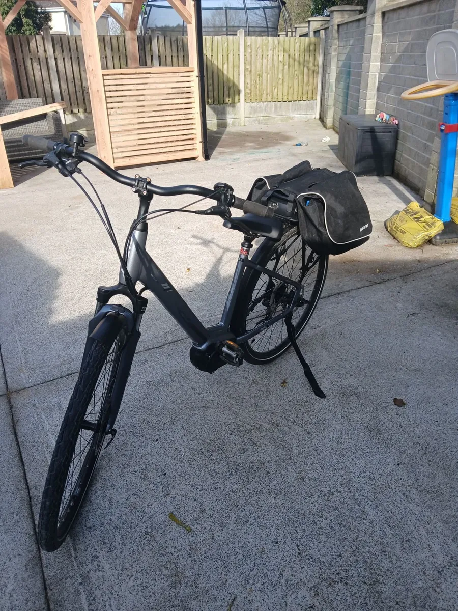 Giant Entour Electric Bike - Image 1