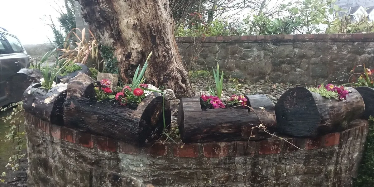 Ash Log Flower Planters for *SALE * - Image 4