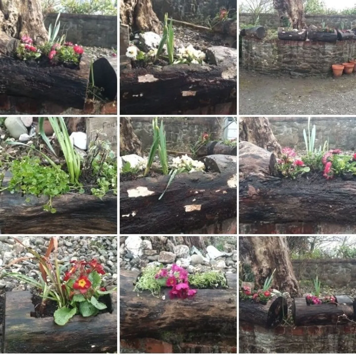 Ash Log Flower Planters for *SALE * - Image 1