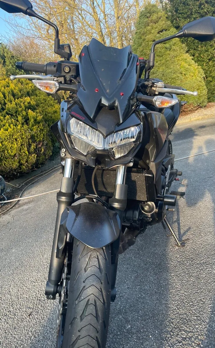2022 Kawasaki Z650 - Image 2