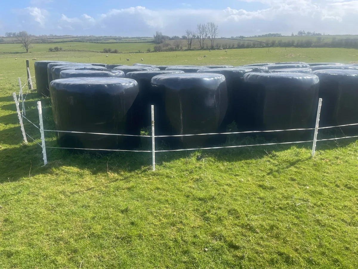 Bales of silage