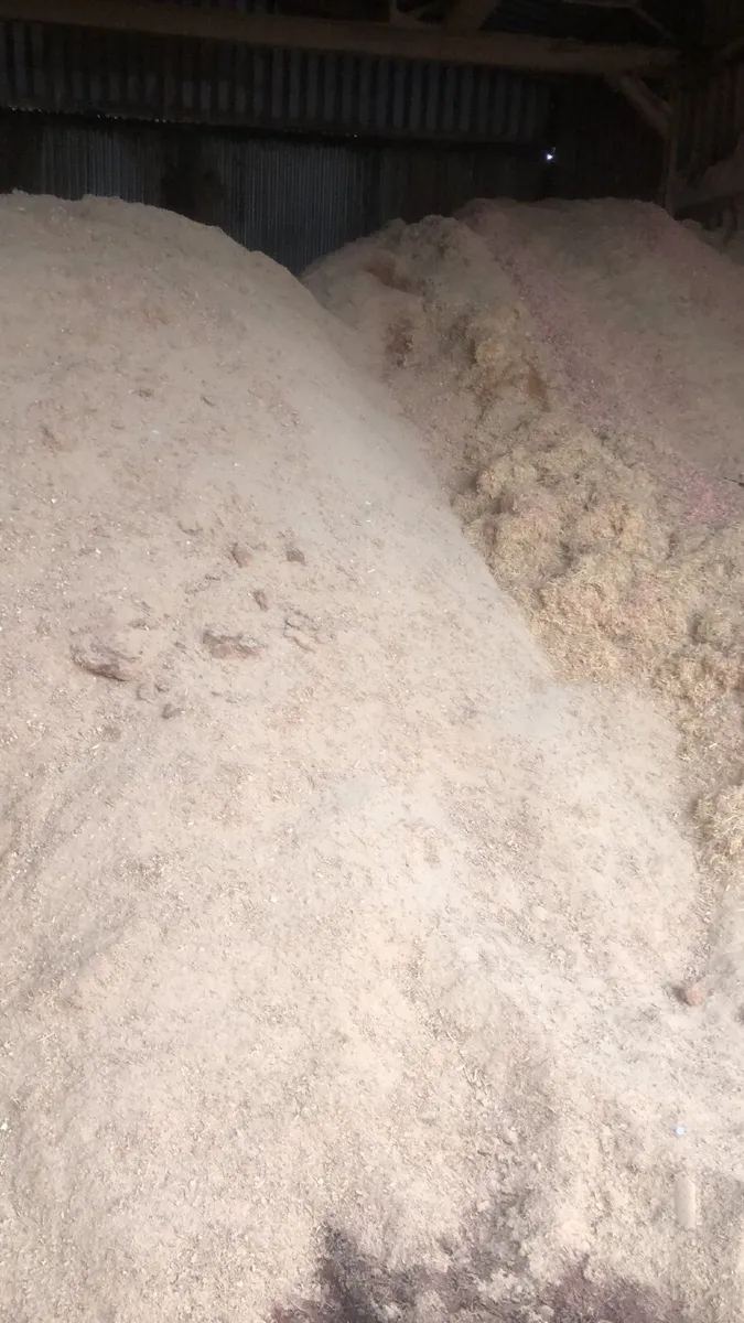 Dry mixed wood shavings - Image 1