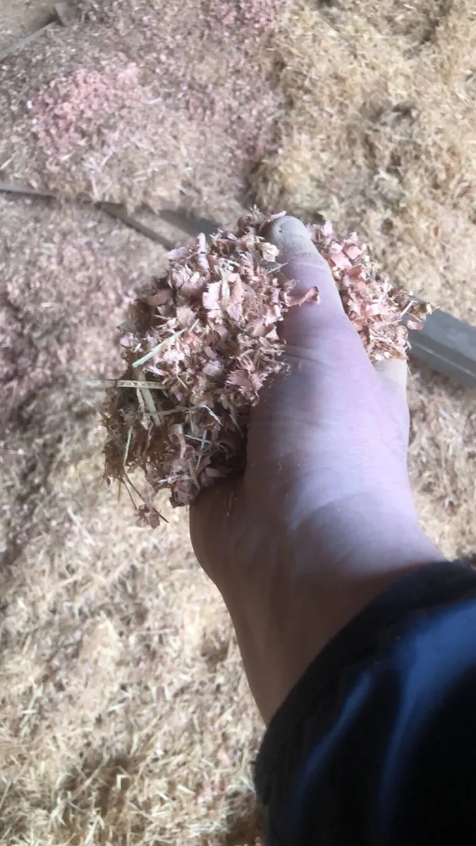 Dry mixed wood shavings - Image 2