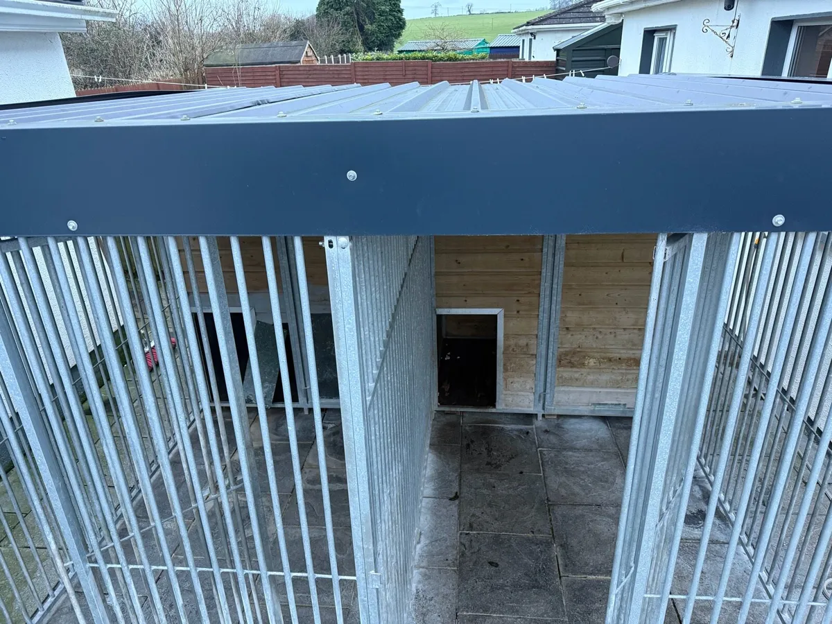Dog Pens - Image 4