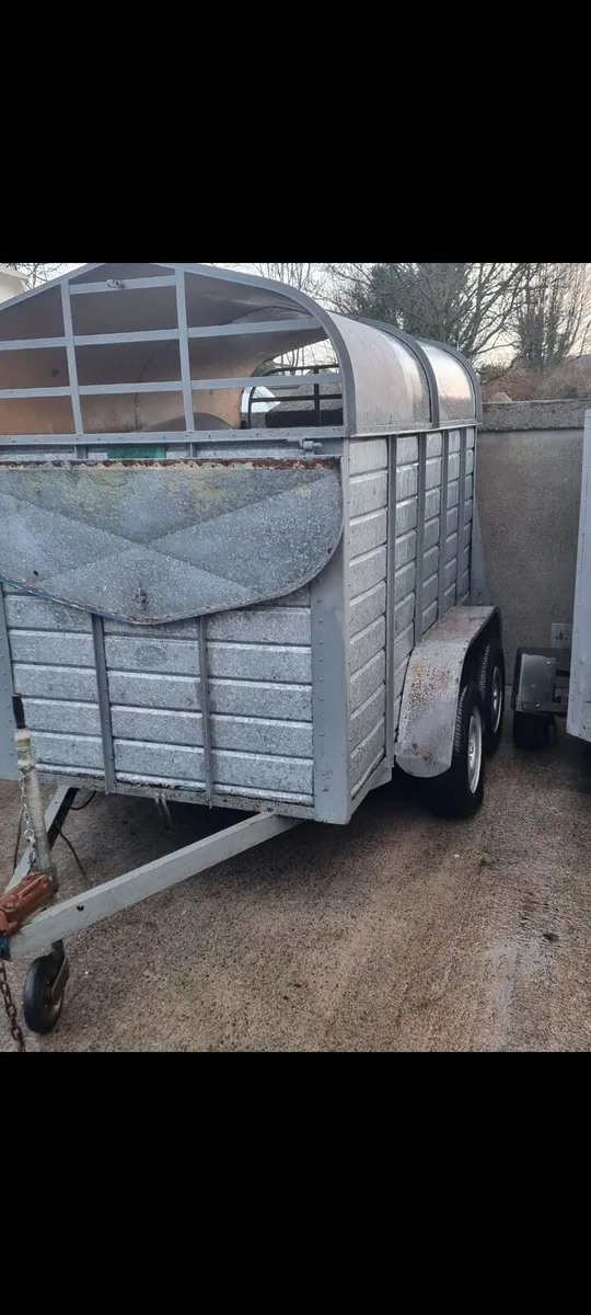 Joyce cattle trailer - Image 1