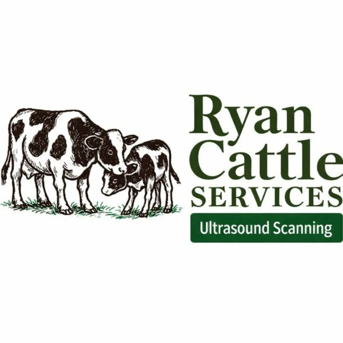 Ultrasound Scanning - Image 1