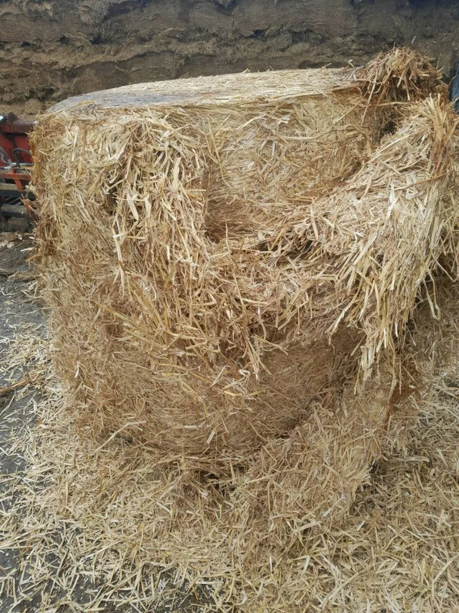 Wheat straw - Image 2