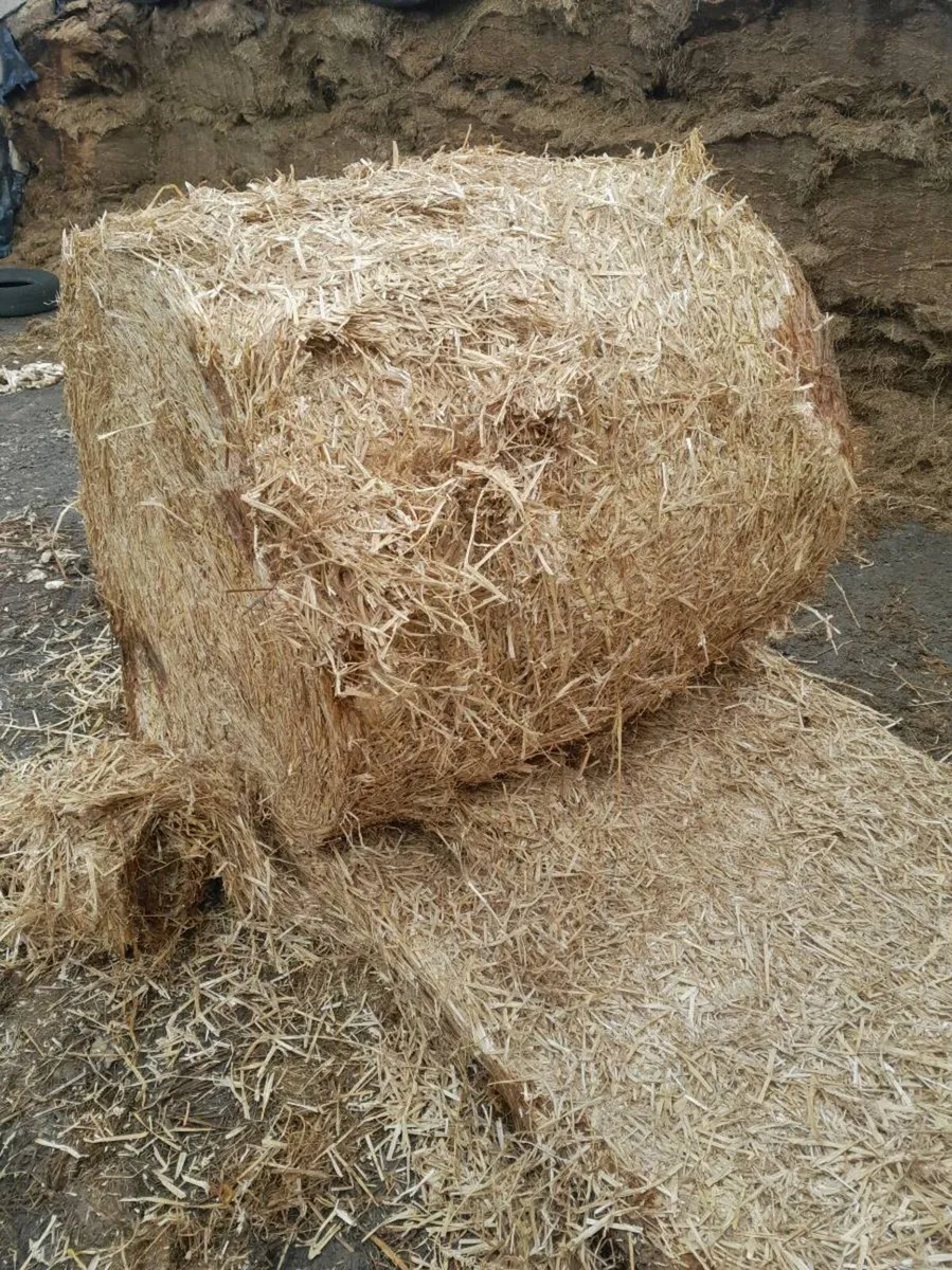 Wheat straw - Image 3