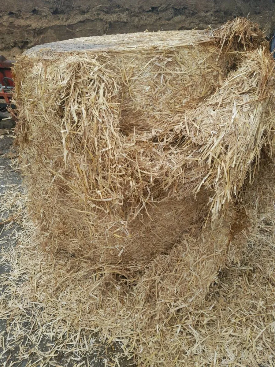 Wheat straw - Image 4