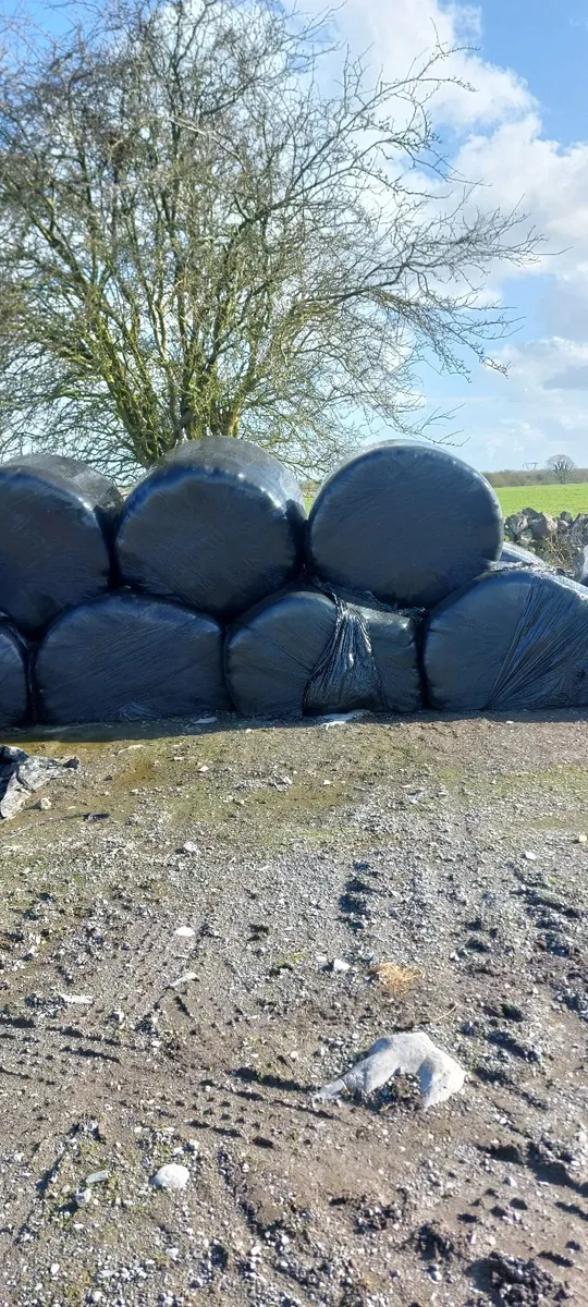 Silage bales