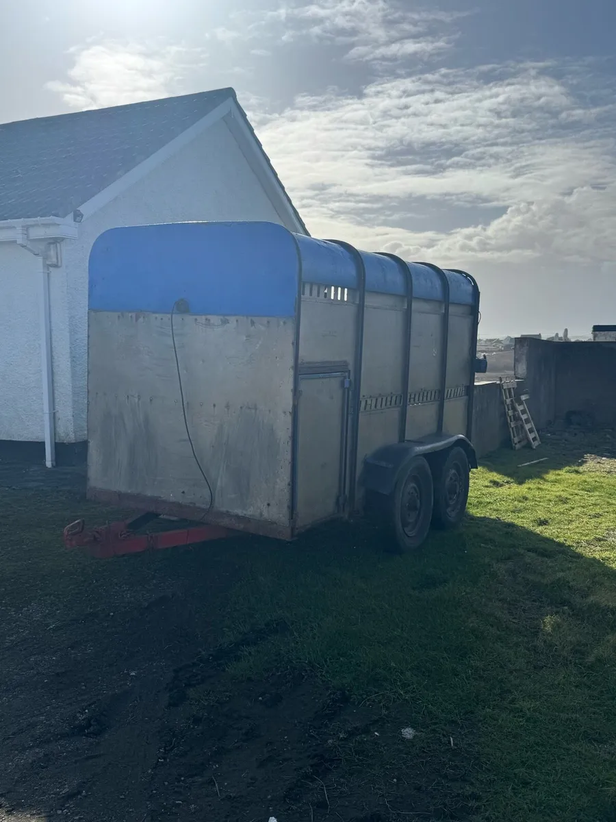 Cattle & Sheep Trailer - Image 2