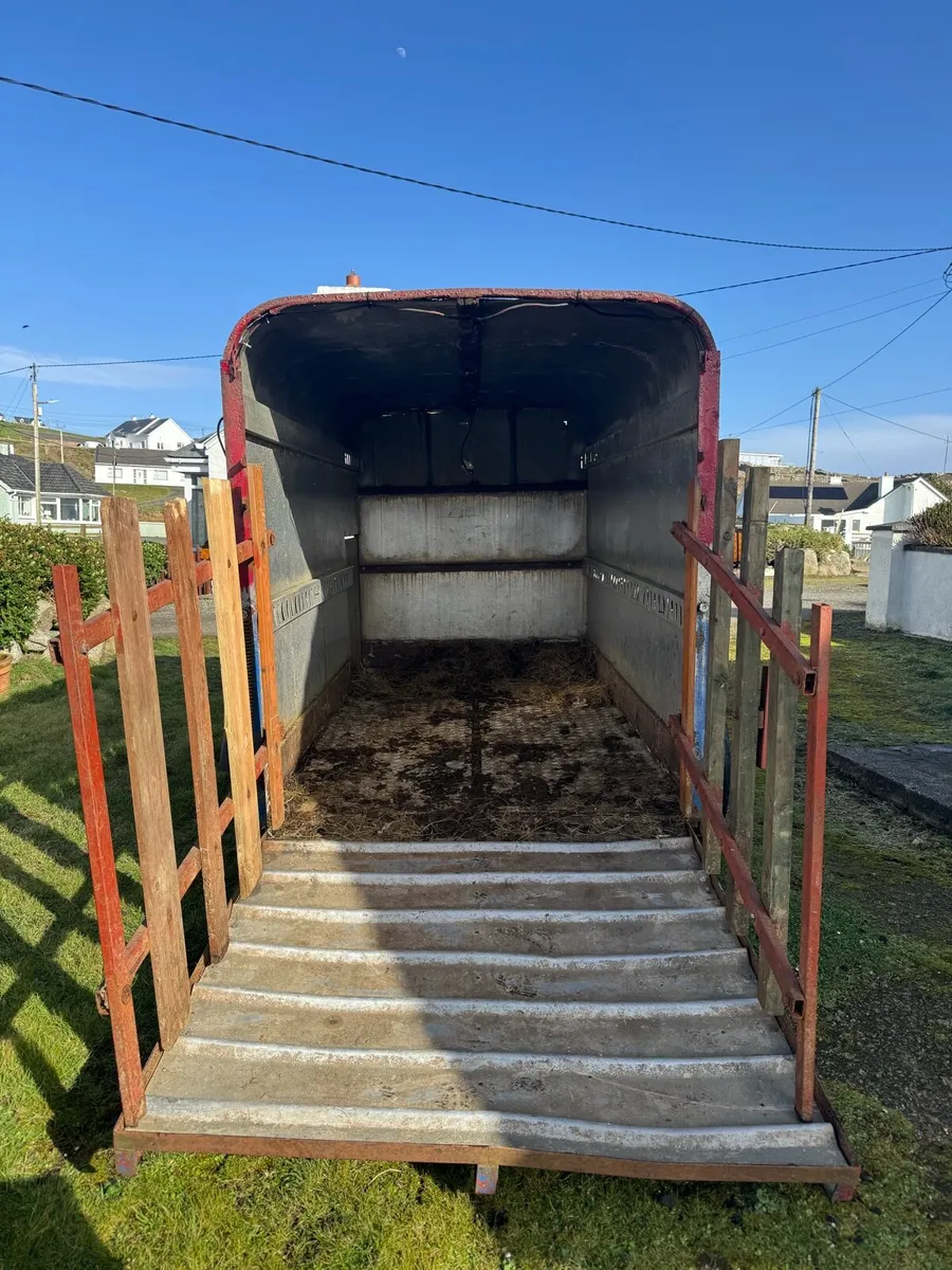 Cattle & Sheep Trailer - Image 3