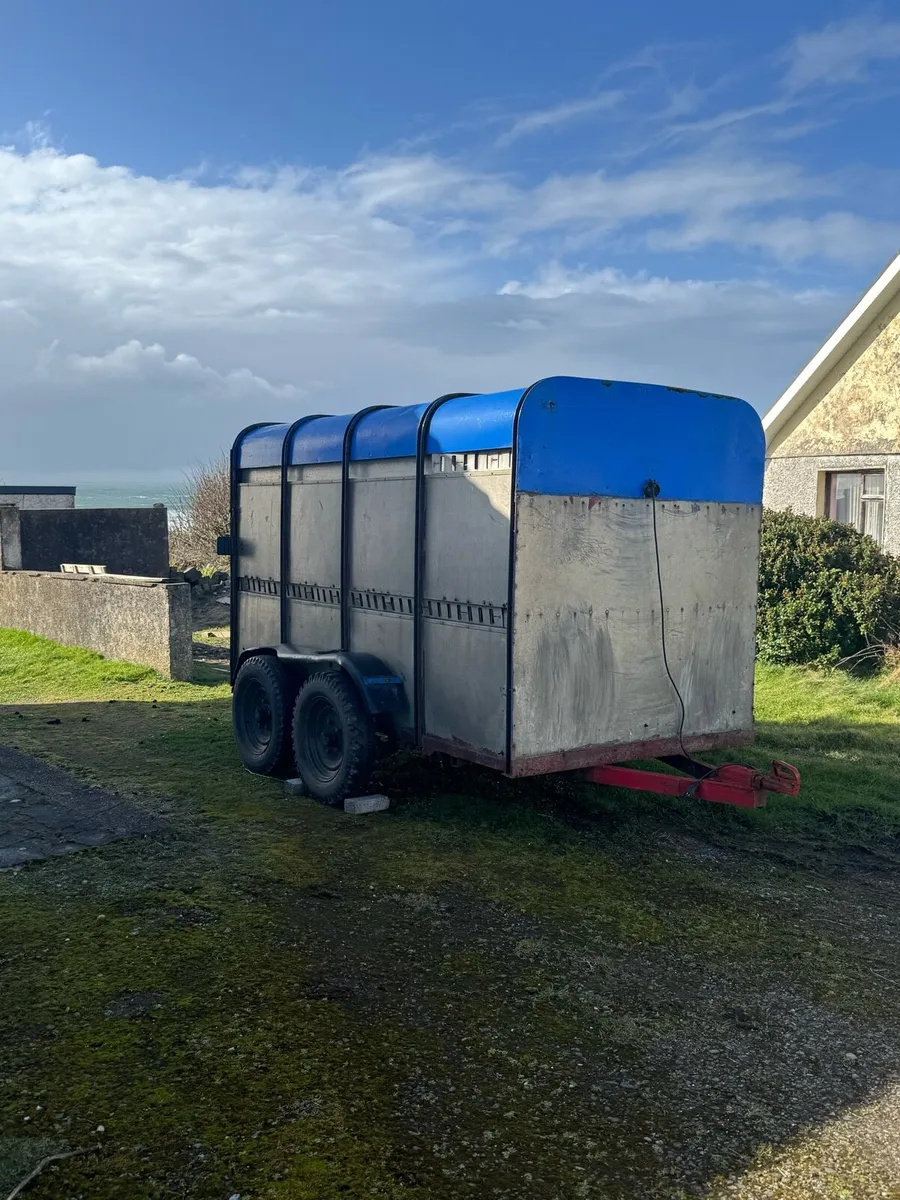 Cattle & Sheep Trailer - Image 1