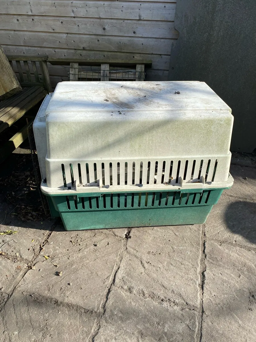 Dog transport /sleeping box FREE - Image 2
