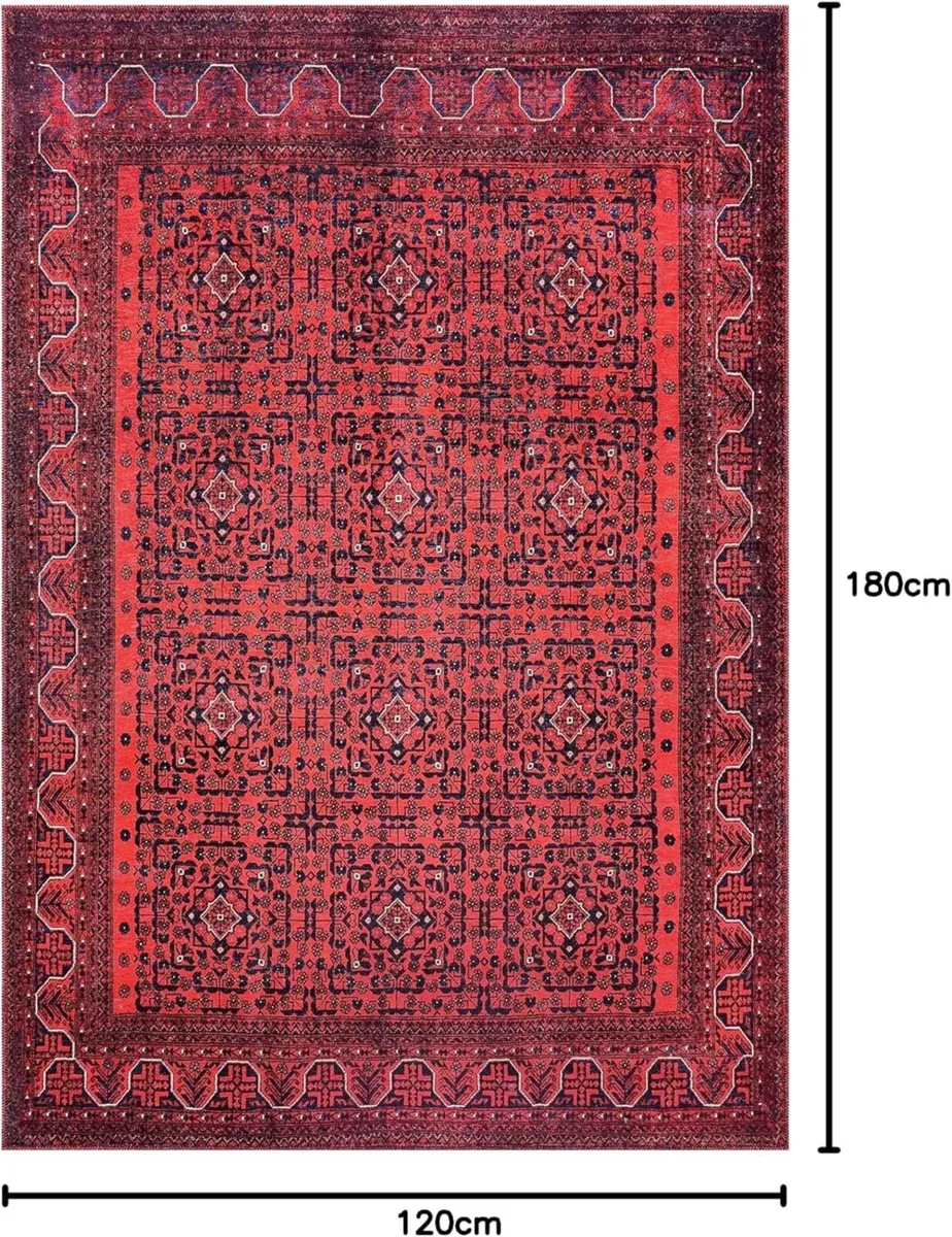 Washable Area Rugs for Living Room Traditional - Image 2