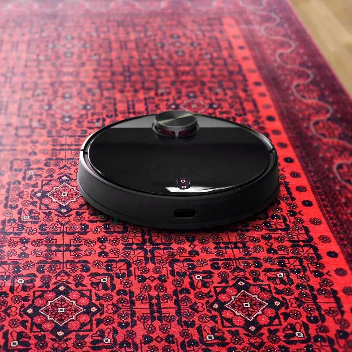 Washable Area Rugs for Living Room Traditional - Image 4