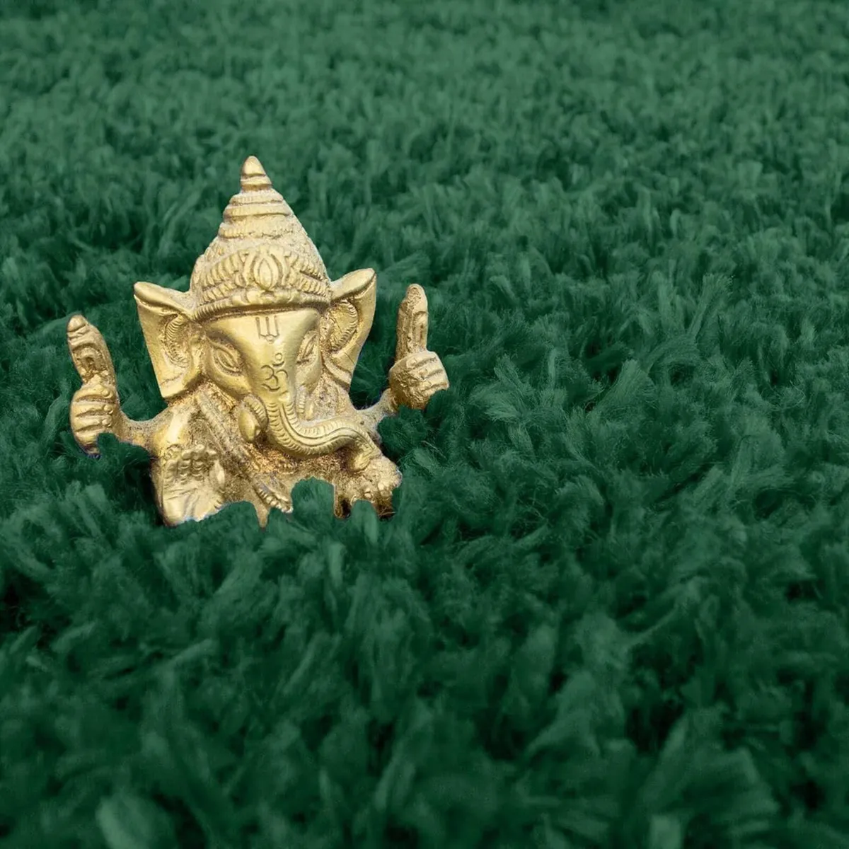 Luxury Thick Pile Emerald Green Shaggy Living - Image 2